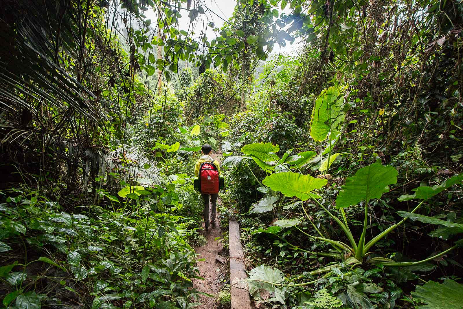 Exploring Phong Nha - Epic Oxalis Tour to Hang Tien Cave