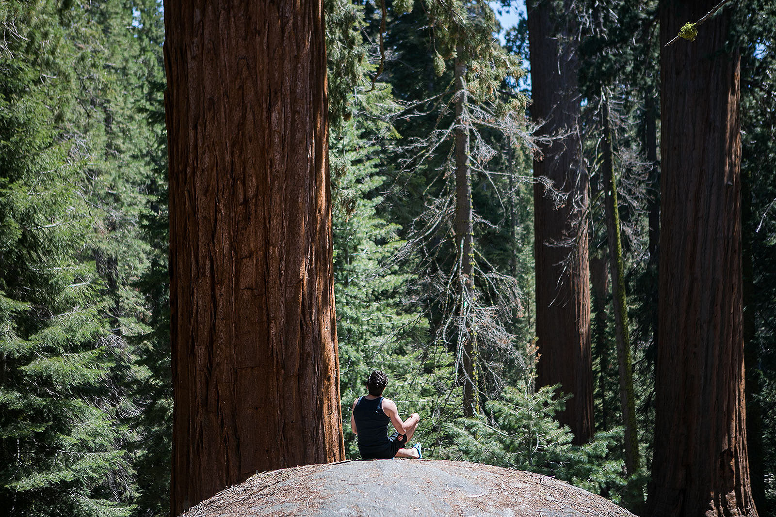 One Day in Kings Canyon and Sequoia National Parks: Where to Go & What to See