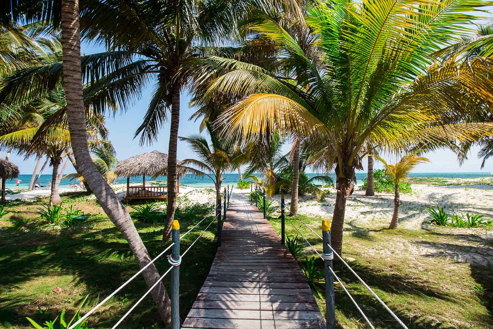 A Day in Paradise on the Beautiful Cayo Levisa Island, Cuba