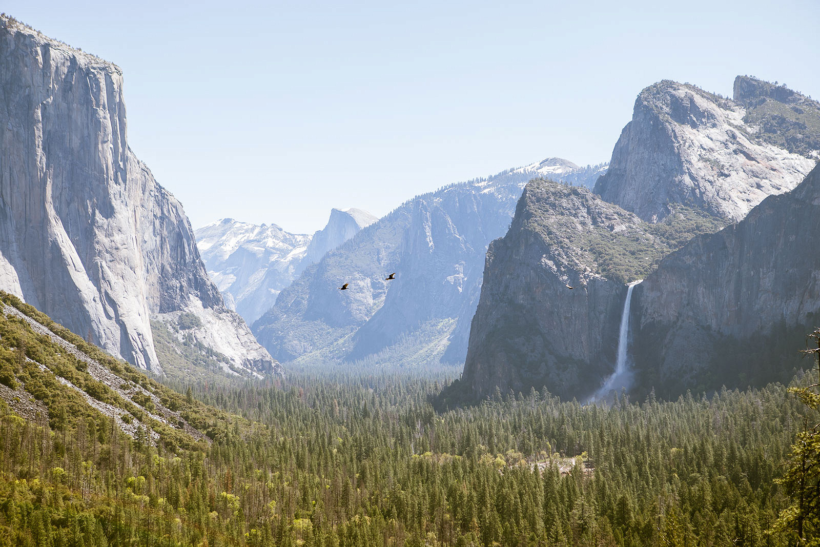 1 Day in Yosemite National Park: The Ultimate Itinerary and All You Need to Know to Plan Your Visit