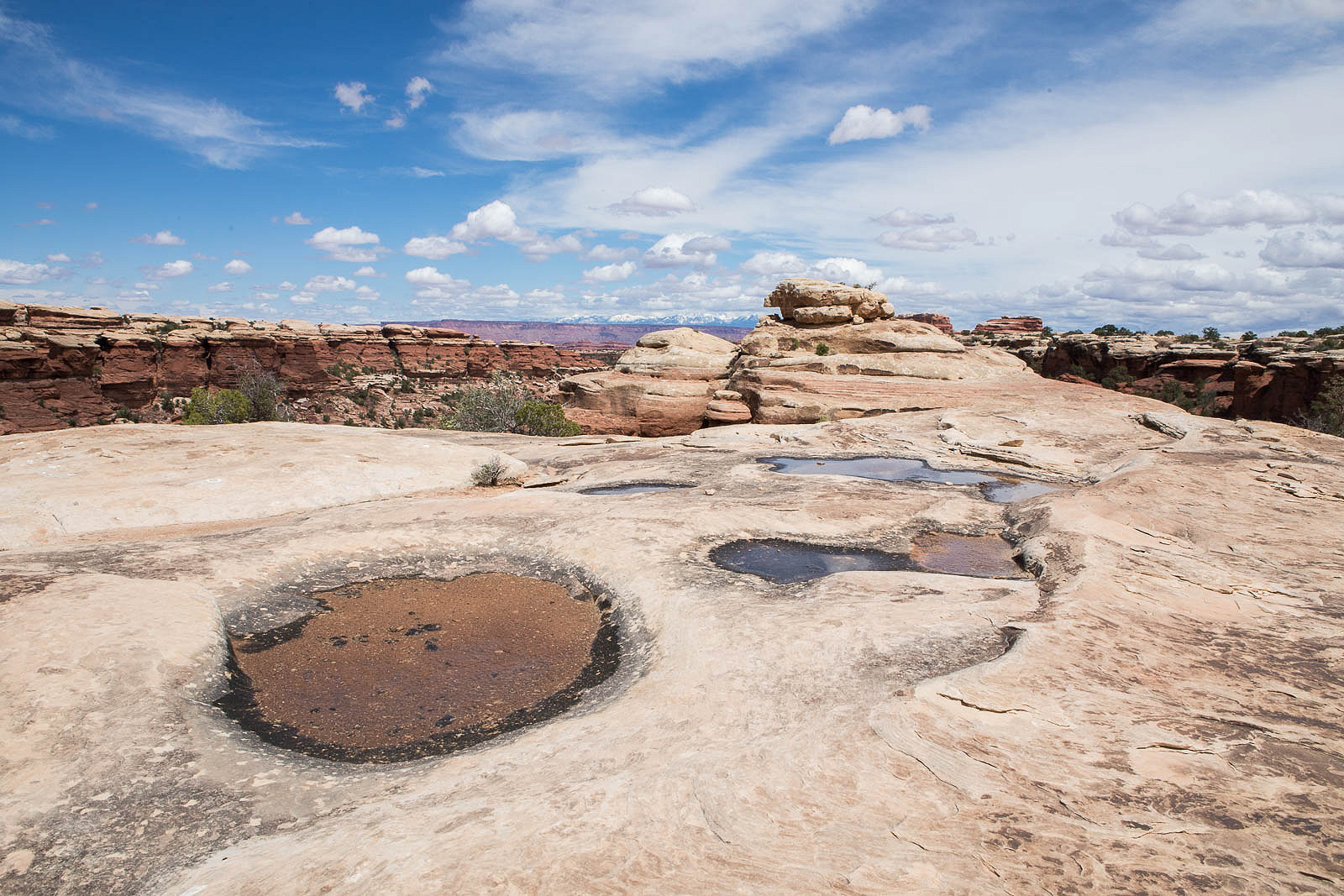 Roadtrip Guide to Canyonlands NP and Arches NP: two Utah parks in one day