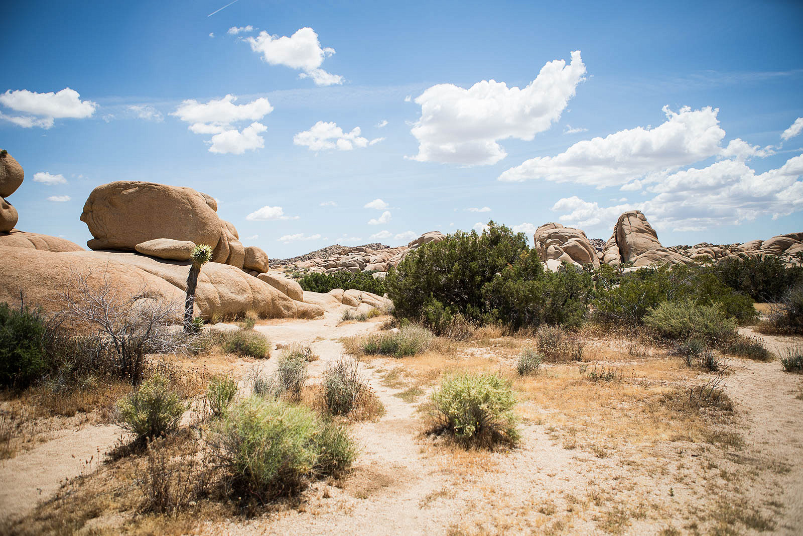 6 Places to See in Joshua Tree & How We Ran Out of Gas in the Desert