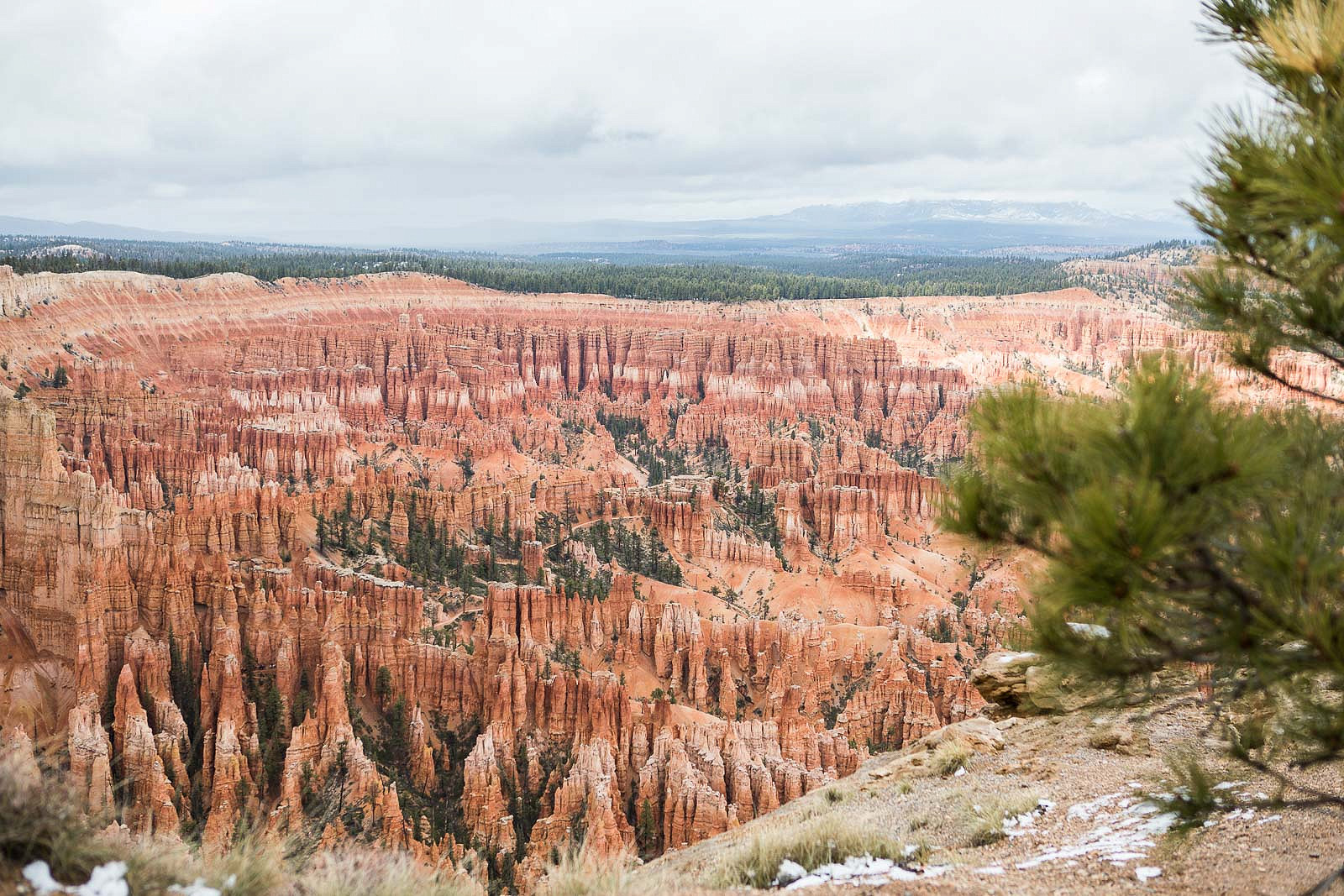 One Day in Bryce Canyon: Must See Viewpoints and What to Know Before You Go
