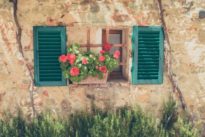 Italian countryside