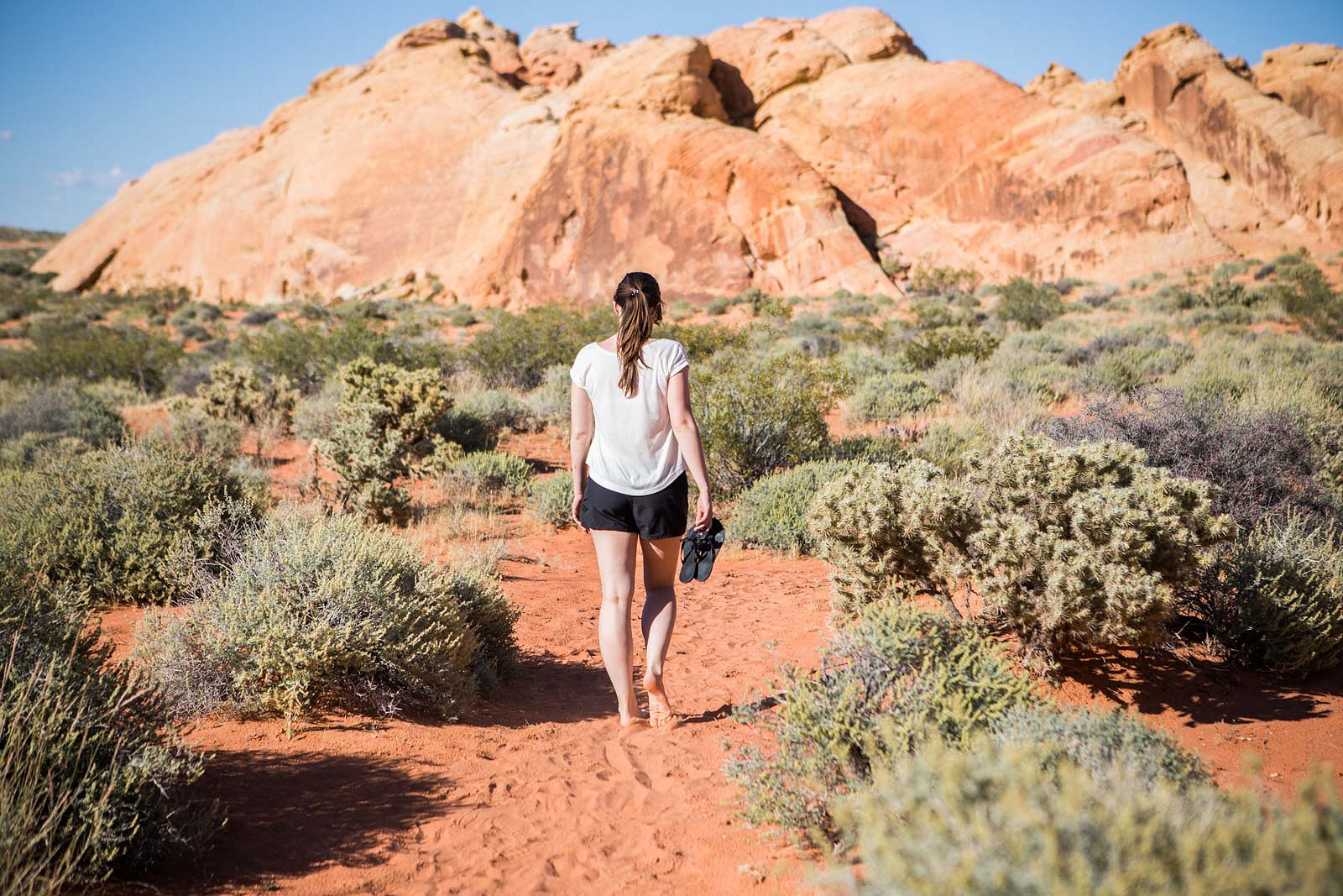 valleyoffire_blog_01