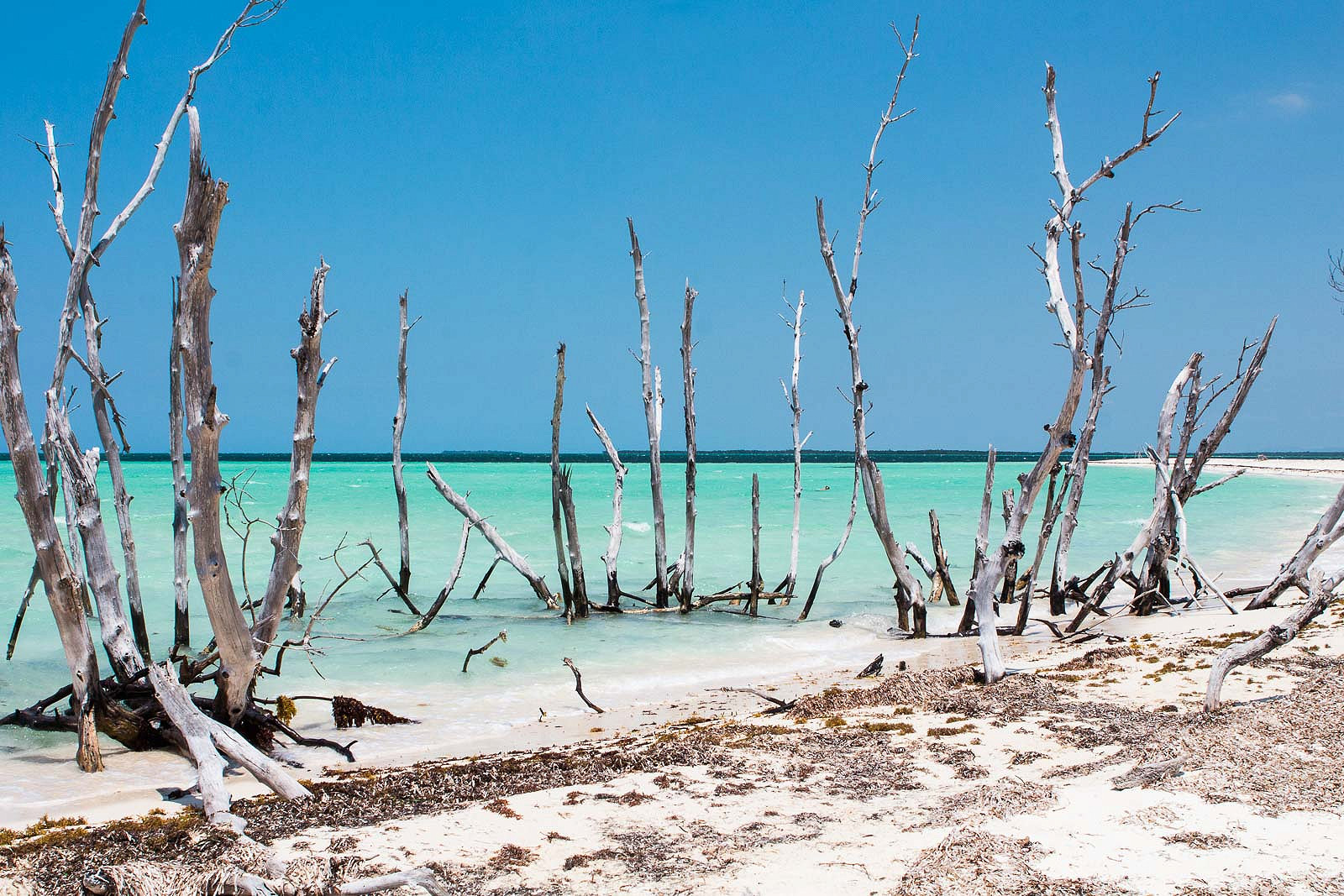 cayo levisa_blog_10