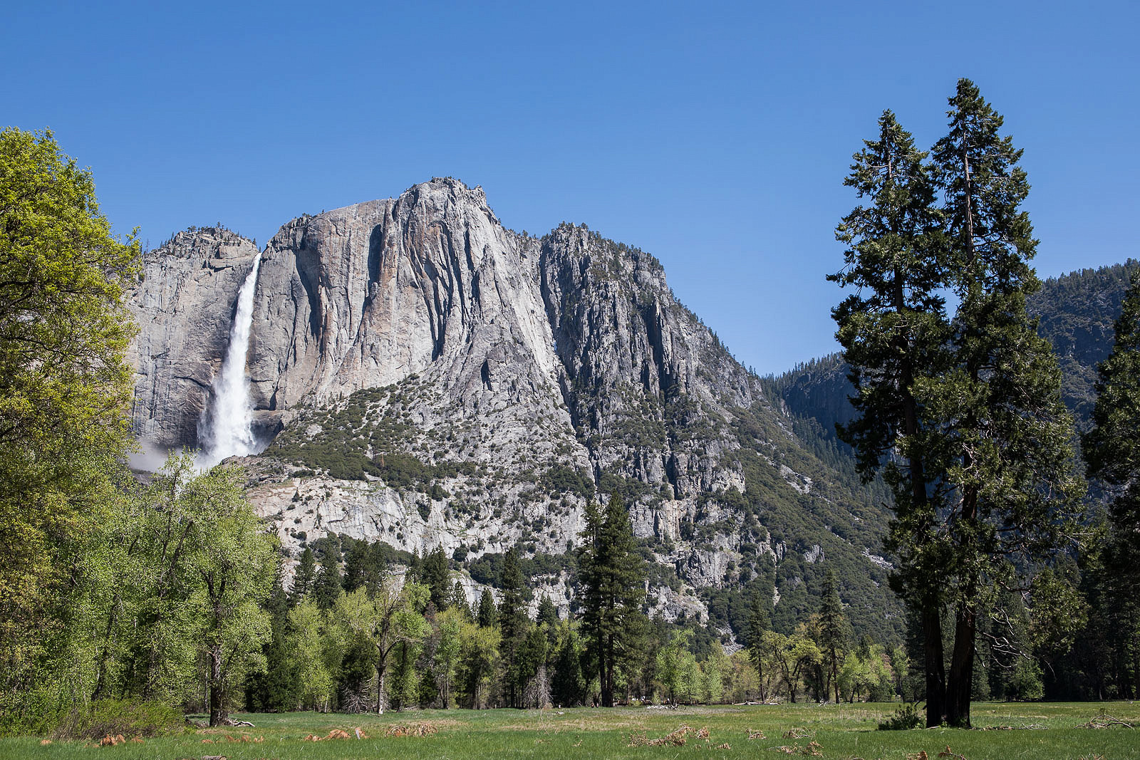 yosemite_blog11