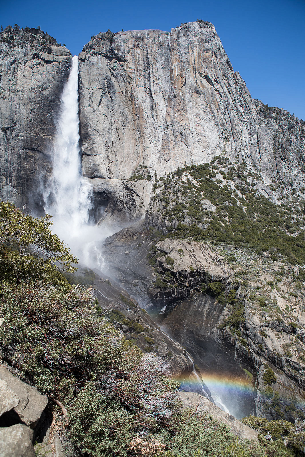 yosemite_blog14