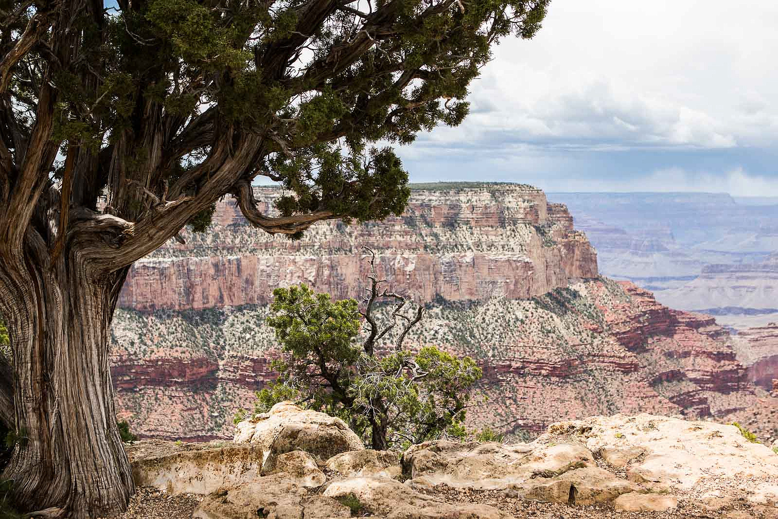 grand canyon_blog_024