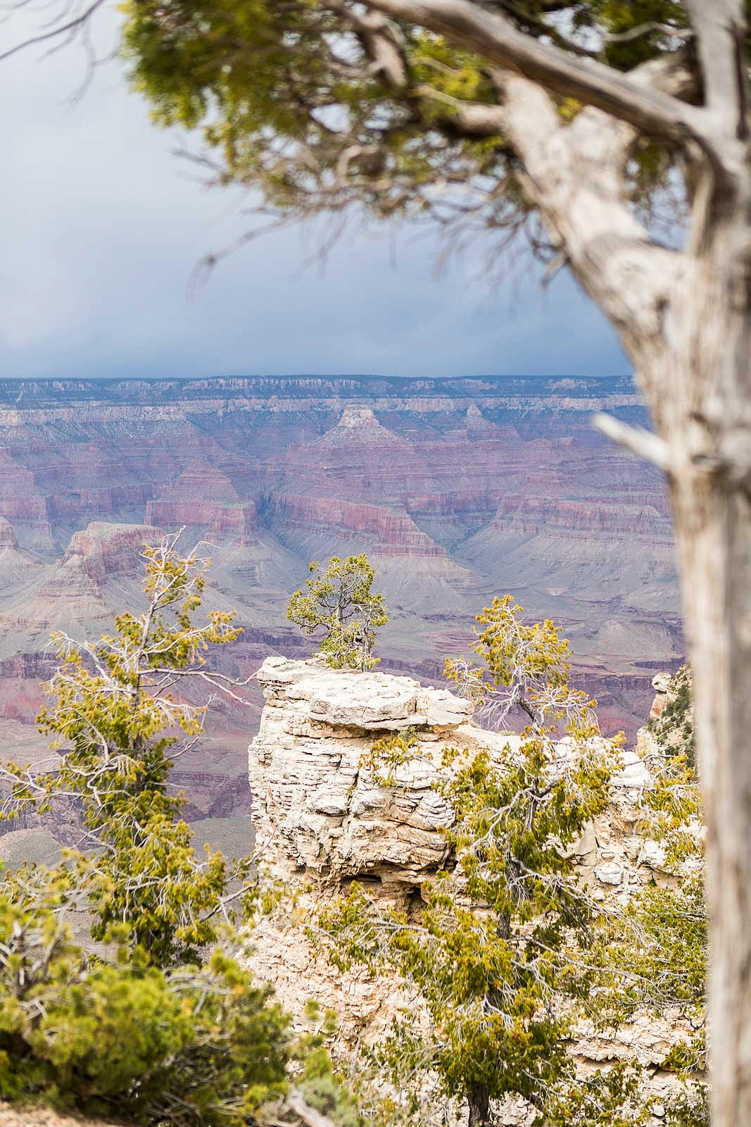 grand canyon_blog_033