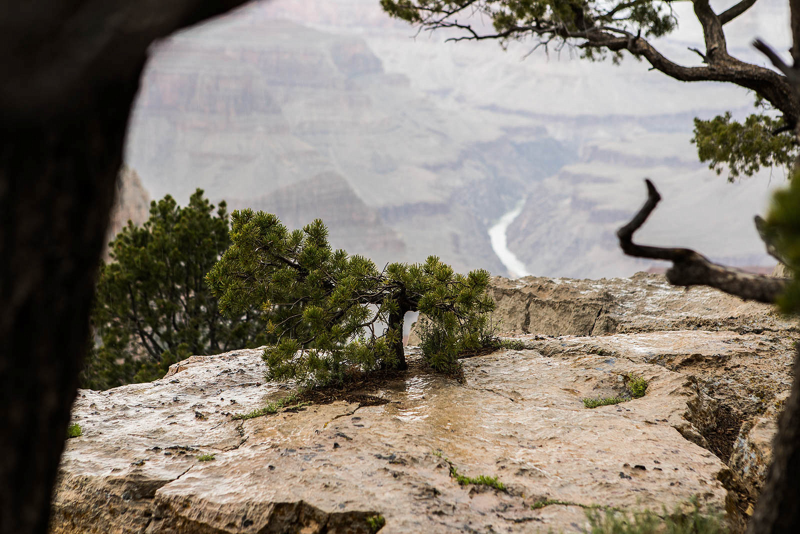 grand canyon_blog_067