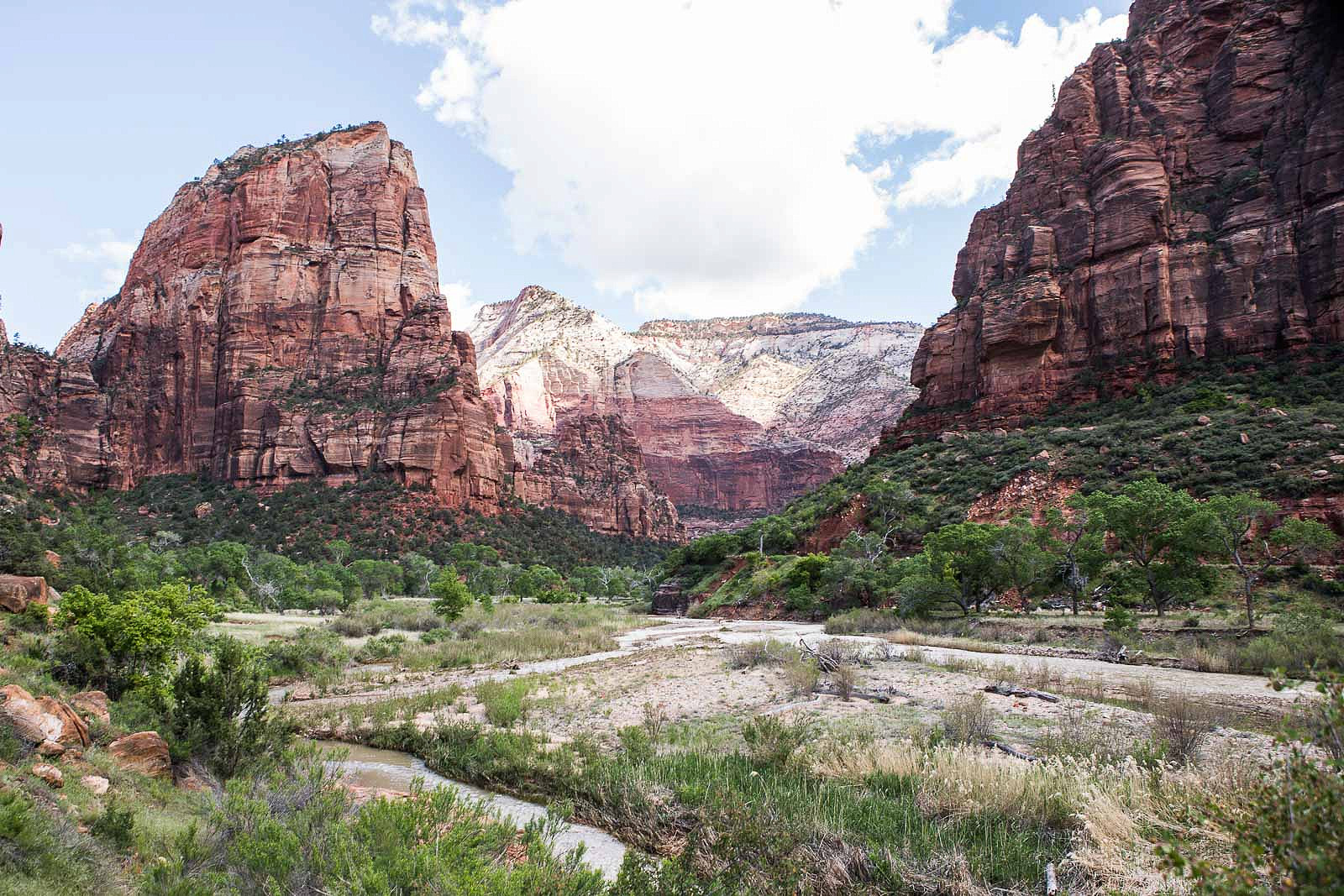 zion_blog_008