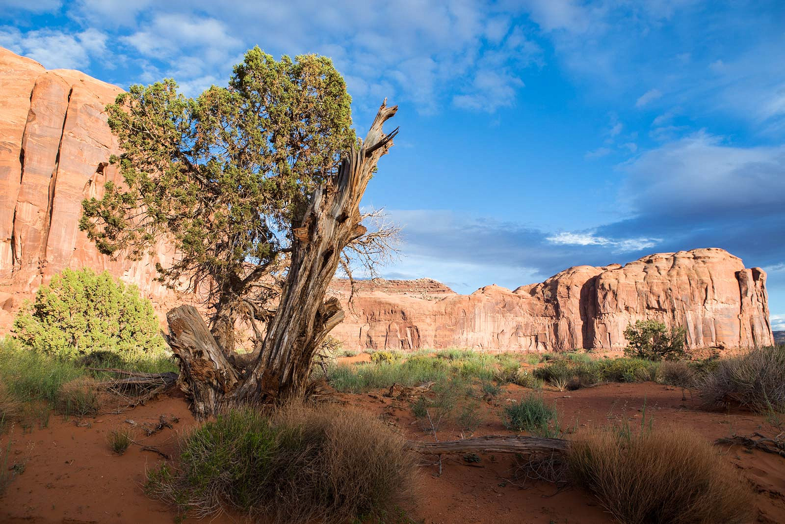 blog_monument valley_035