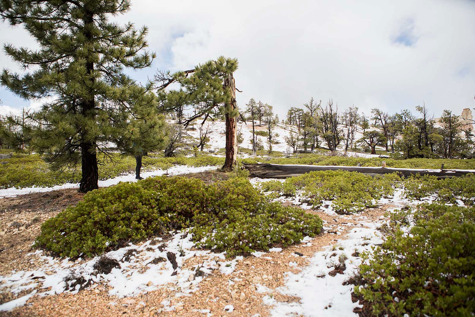 bryce canyon_blog_003