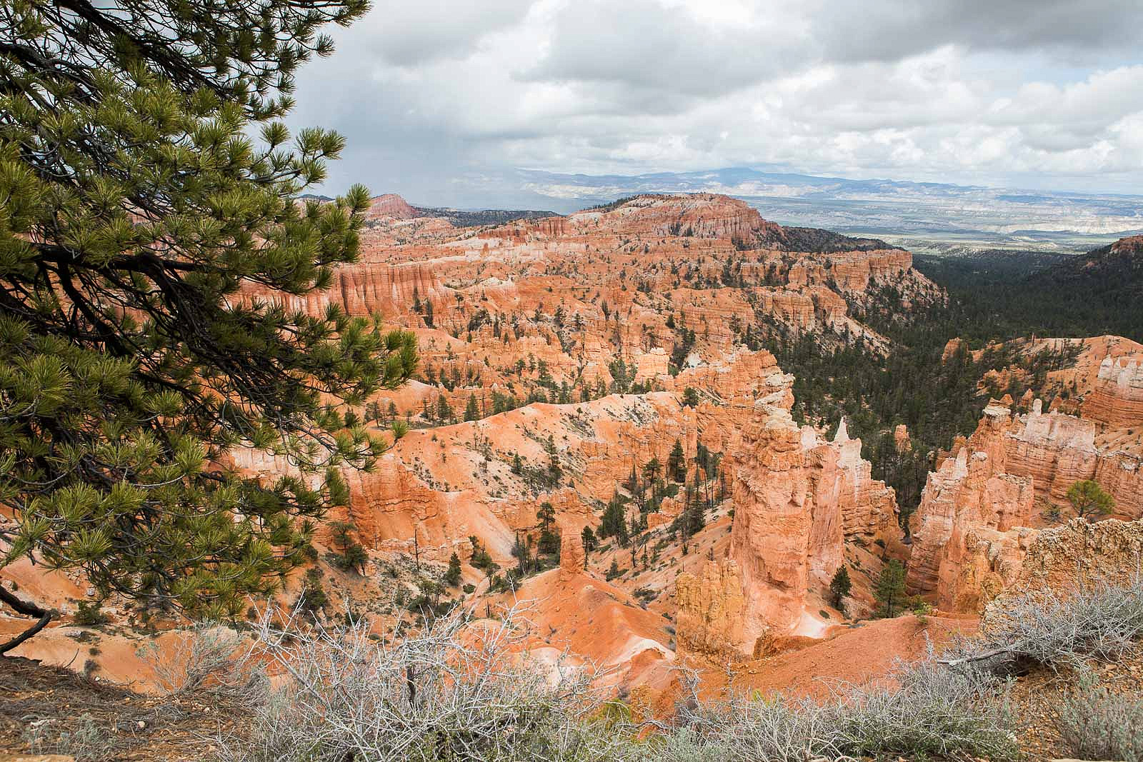 bryce canyon_blog_036