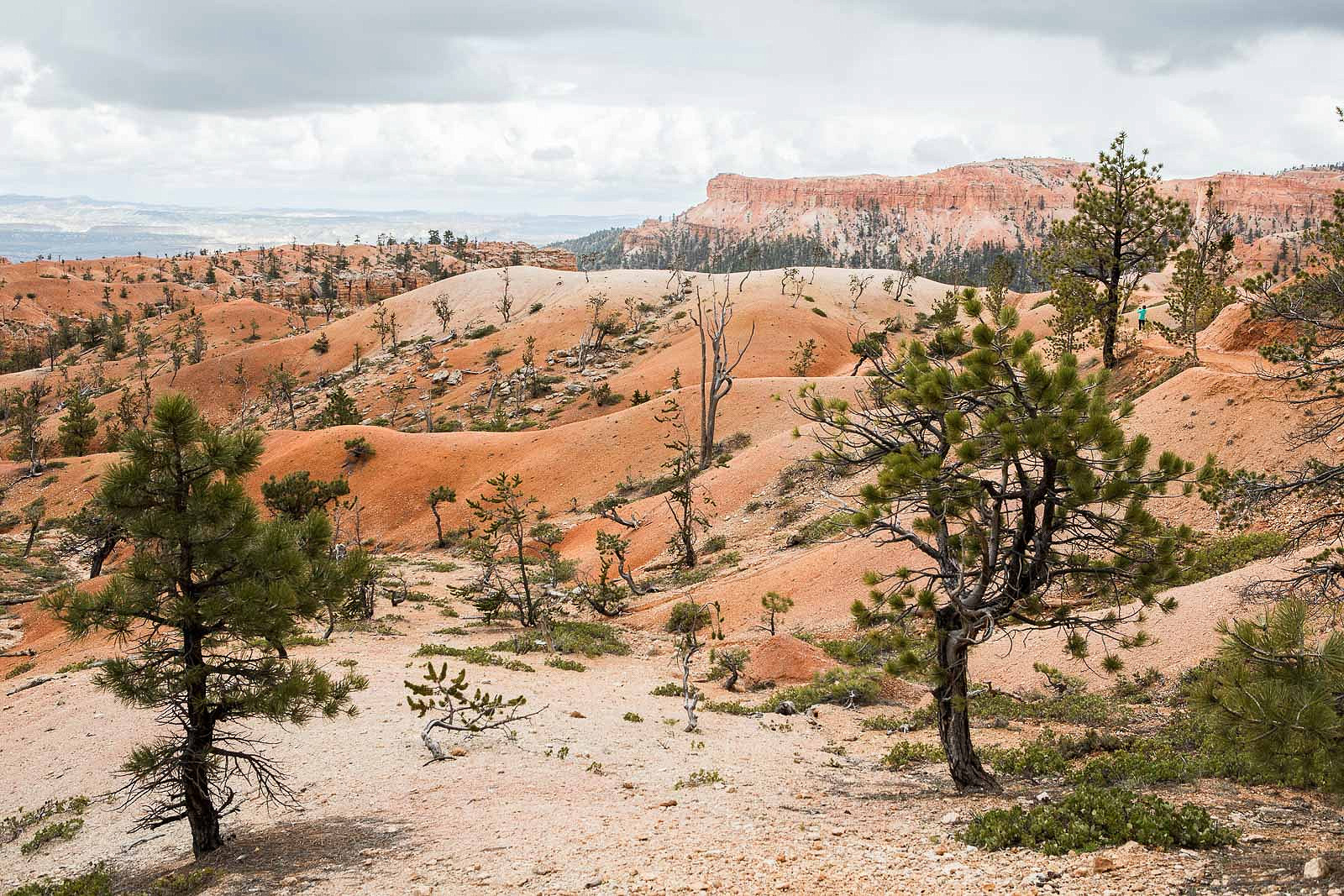 bryce canyon_blog_040